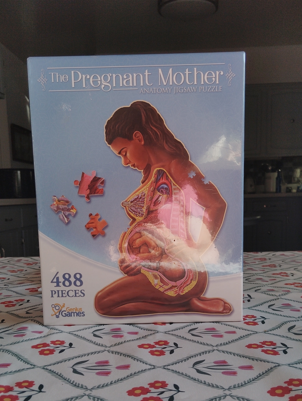 The Pregnant Mother Anatomy Jigsaw Puzzle - Blue Genious Games